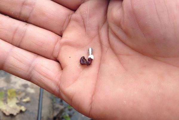 魚口太輕,不妨試試這幾招,訊號一出就提竿,竿竿都有實口 魚口太輕,不妨試試這幾招,訊號一出就提竿,竿竿都有實口