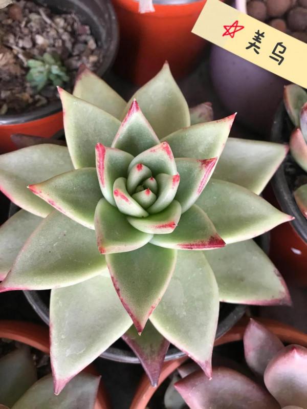 看人間煙火 看人間煙火