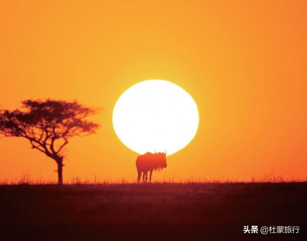 從外交官到“中國獅子王”，他深入非洲14年，只為解鎖這些秘密