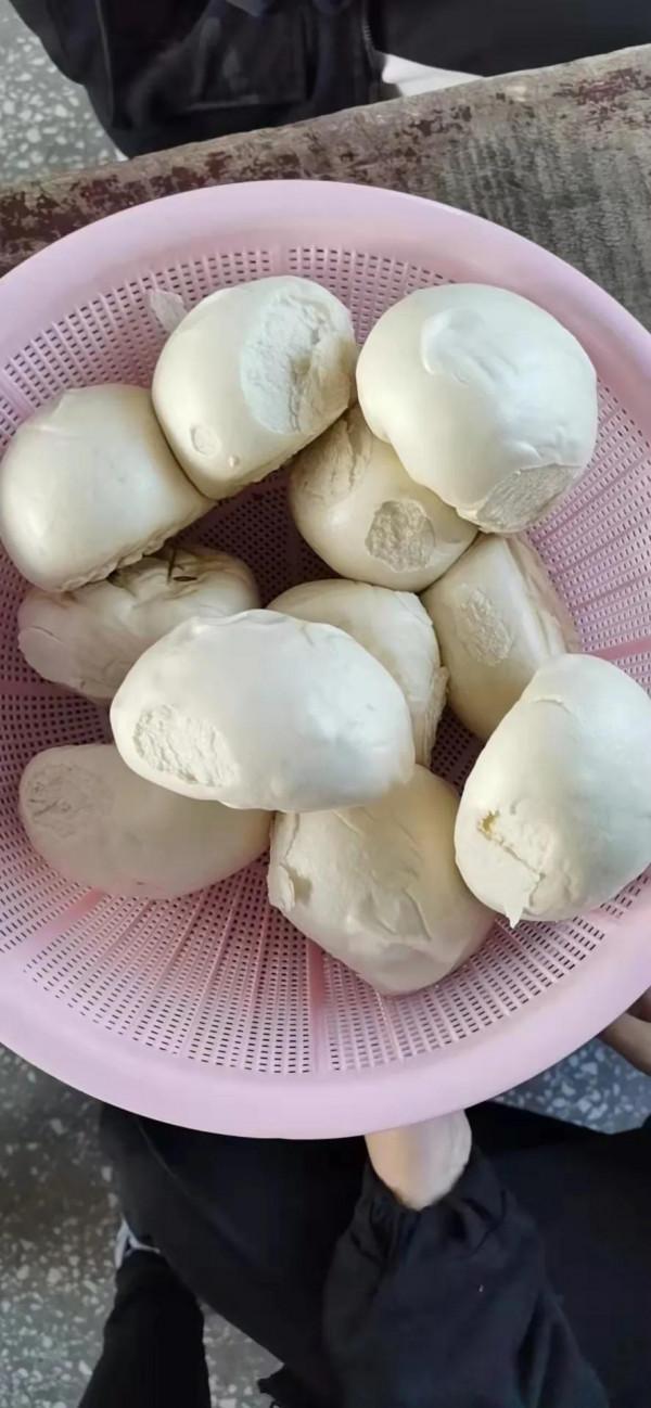 幼兒園的飯就這樣，小朋友能長身體嗎真不知該不該讓他在學校吃飯