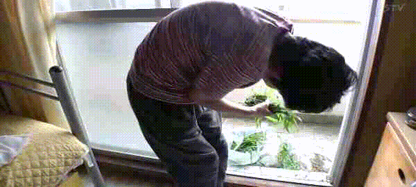 日本91歲父親用養老金供兒子賭博，留下遺言想和孩子一起死…