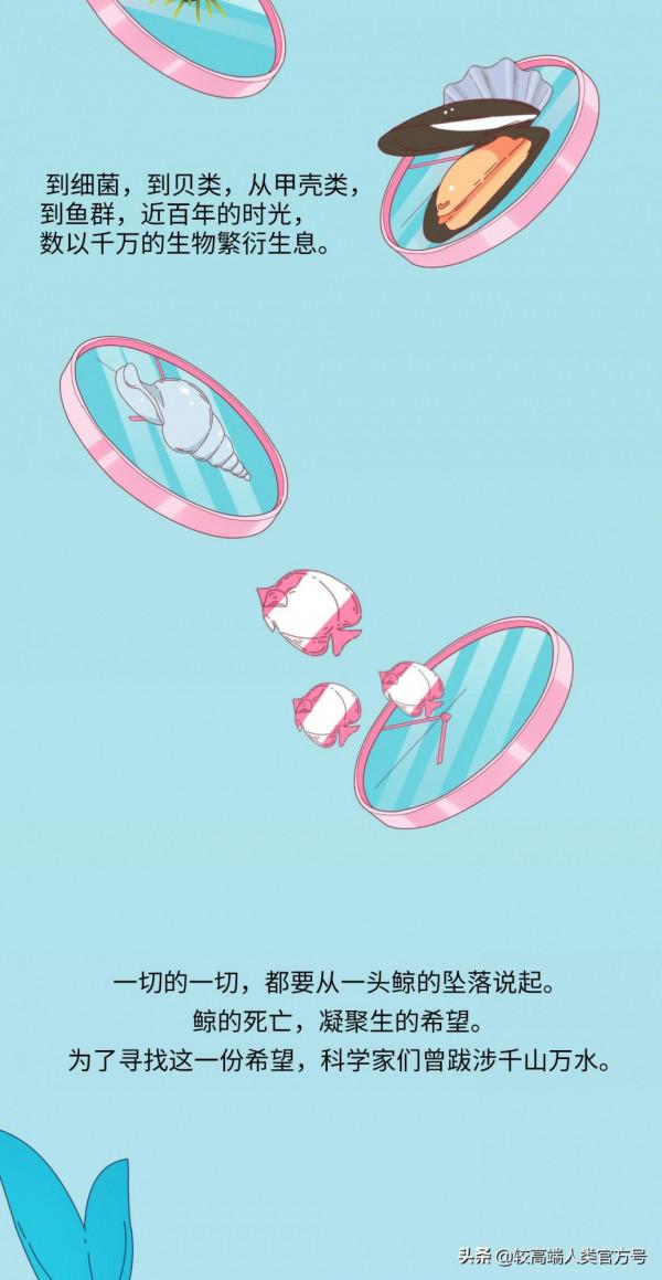 不久前，我目睹了世上最悲壯的死亡