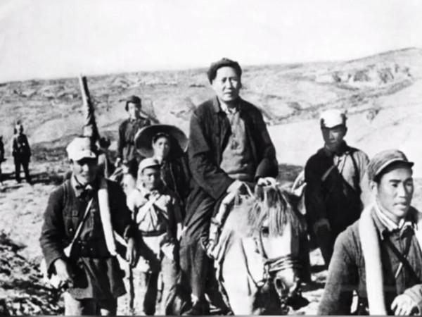 毛主席的小青馬,一直駝著主席度過最艱難的時期,後來又去了哪裡 毛主席的小青馬,一直駝著主席度過最艱難的時期,後來又去了哪裡