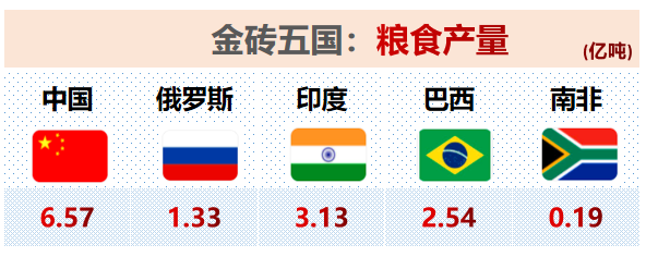 金磚五國中俄印巴南如今綜合實力到底如何？真實資料對比
