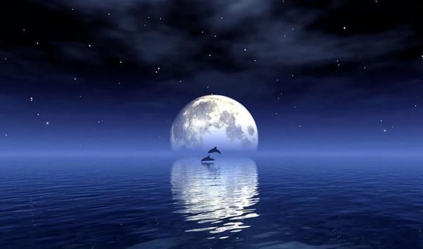 中秋12星座每週運程(2021.9.20-9.26) 中秋12星座每週運程(2021.9.20-9.26)