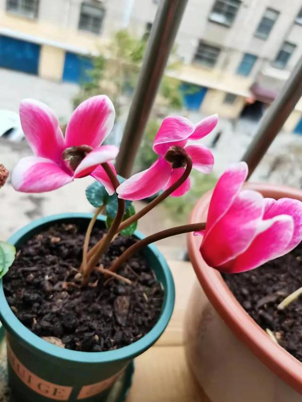 修行日誌12~你有多久沒用眼睛看到過這世界？