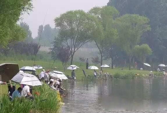 學會找魚道,野釣時的漁獲,至少能翻一倍 學會找魚道,野釣時的漁獲,至少能翻一倍