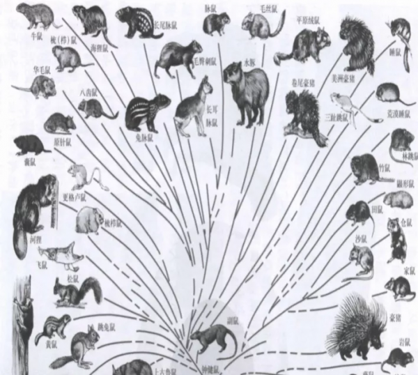 害堤生物鑑定 害堤生物鑑定