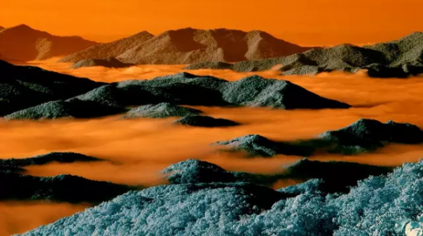 品,秋的味道 品,秋的味道