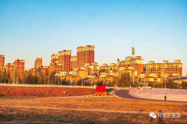 落葉知晚秋 開發區美景入眼簾