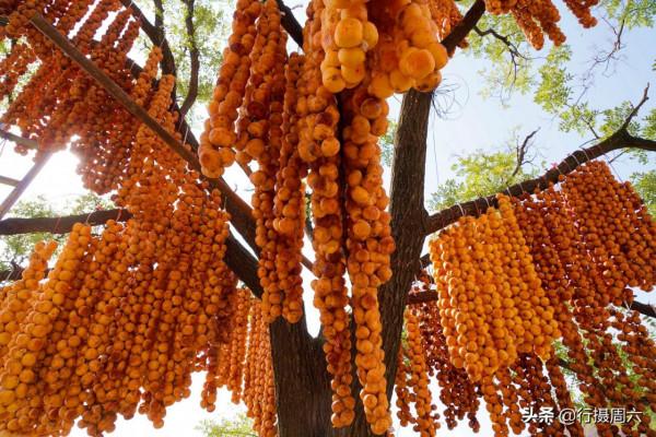 山西大山農民用柿子裝扮的小山村，成網紅打卡地，看美成啥樣