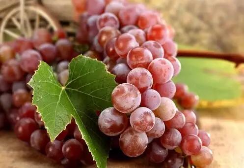 生活百科 | 18條健康生活小常識送給你