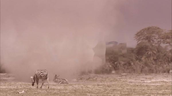 地理小知識,揭秘神奇的沙漠裡為什麼有人在哭泣?鳴沙是怎麼回事 地理小知識,揭秘神奇的沙漠裡為什麼有人在哭泣?鳴沙是怎麼回事