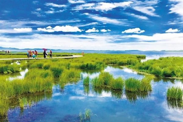 213國道甘南段 草原天路世外天堂