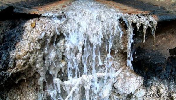 夏威夷旅行者發現一條散發著啤酒氣味的溪流，溪水酒精含量為1.2%