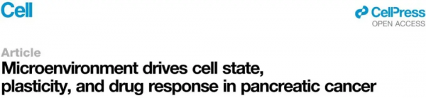 Cell︱微環境驅動胰腺癌細胞狀態、可塑性和藥物反應 Cell︱微環境驅動胰腺癌細胞狀態、可塑性和藥物反應