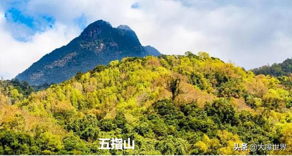 華南第一高峰，是三條江的發源地，比廣東海南第一峰還高200多米