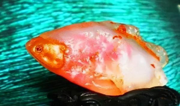 高價成交的66方奇石欣賞