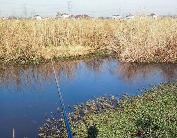 冬釣建議先找魚窩再下竿，只要是天然魚窩，一般都滿足這三個特點