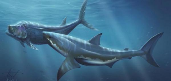 盤點一下史前十大著名軟骨魚 盤點一下史前十大著名軟骨魚