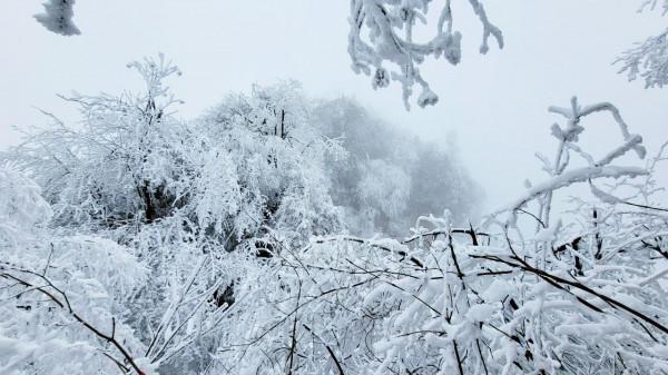 在家觀冬奧 聯想冰雪記憶