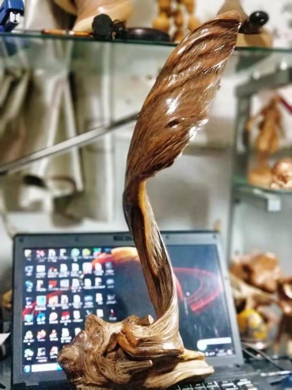 修羽－－風之翼天寸木欣賞，神出地震儀