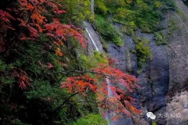 秋韻•和政松鳴巖 一幅大寫意的水彩畫