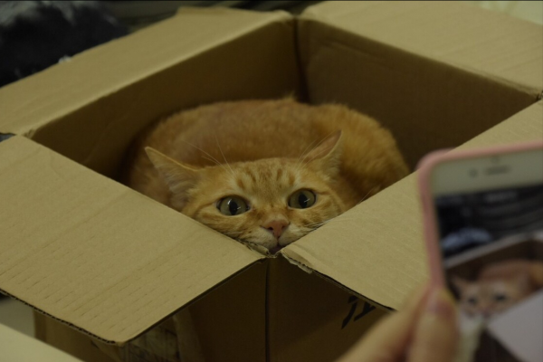 量子世界的思想實驗，在其它的世界裡，人可能會永生