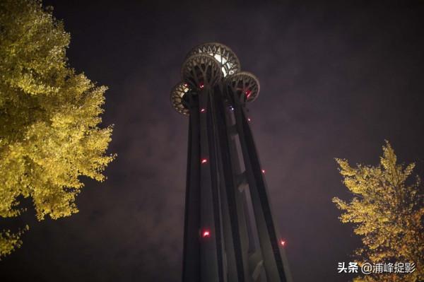 奧林匹克公園最美“秋黃”,銀杏樹密地兒大葉黃,夜裡更美 奧林匹克公園最美“秋黃”,銀杏樹密地兒大葉黃,夜裡更美