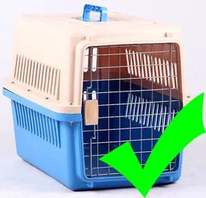 愛貓行動之出行篇