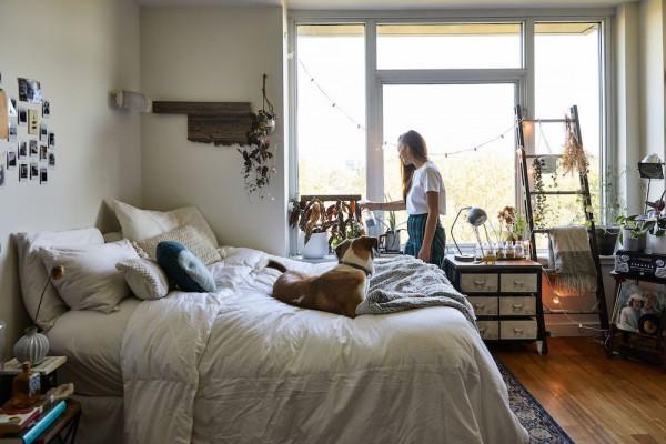 28㎡的開放式一居,用喜好將空間填滿,和狗狗的獨居生活 28㎡的開放式一居,用喜好將空間填滿,和狗狗的獨居生活