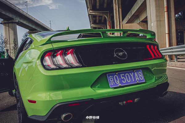 年輕人輕鬆實現的跑車夢,Mustang有何過人之處? 年輕人輕鬆實現的跑車夢,Mustang有何過人之處?