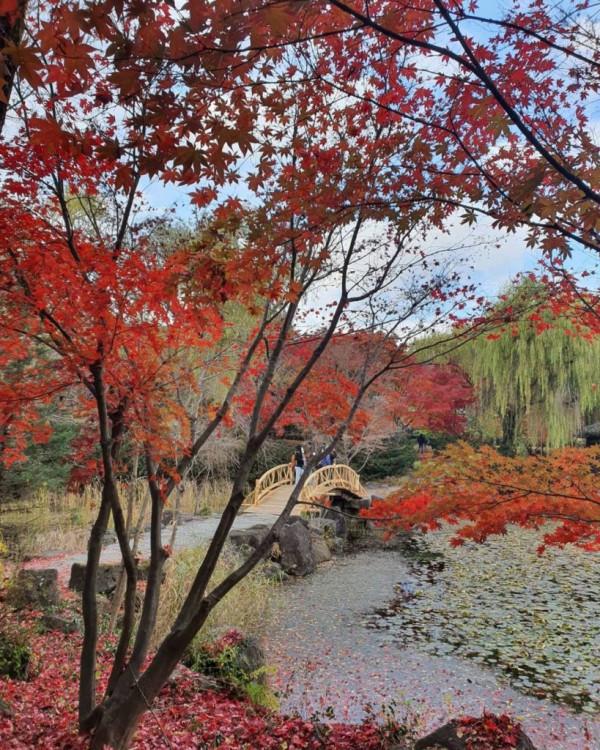 首爾以外：8個韓國城市新增到您的願望清單中