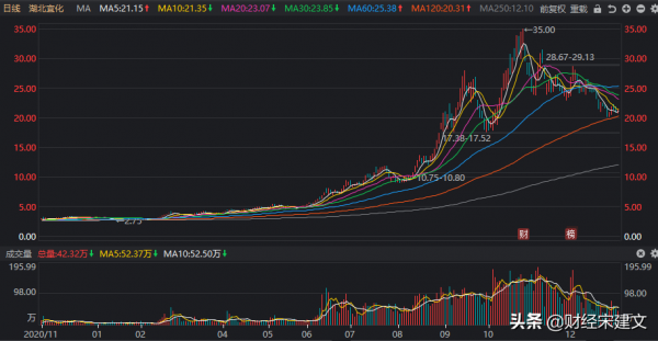 2021年十大牛股出爐,冠軍漲611.33%,牛股有什麼共同點? 2021年十大牛股出爐,冠軍漲611.33%,牛股有什麼共同點?