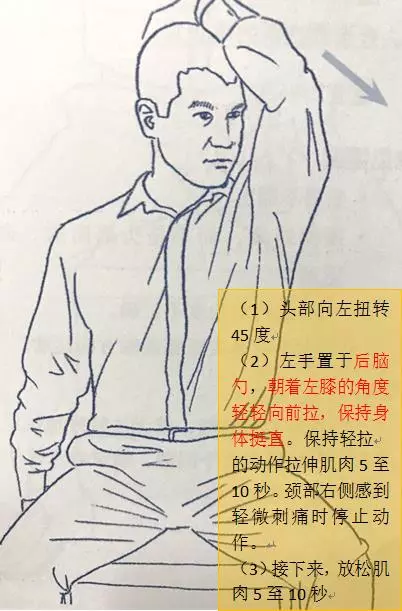 今天講一講肩胛提肌