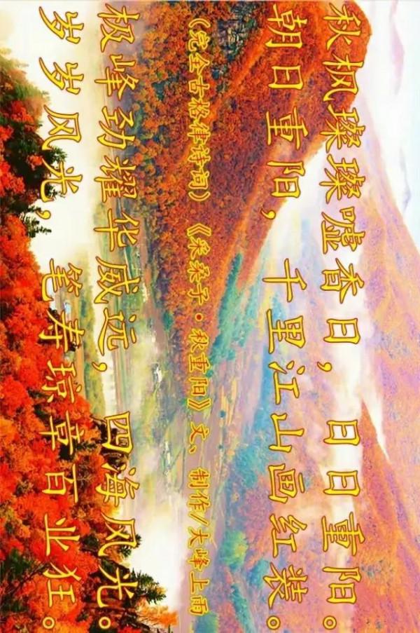 大自然不存在運氣 大自然不存在運氣