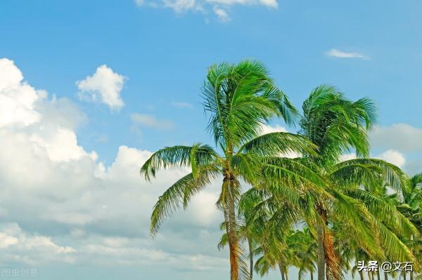 神秘人物的出現、登臺表演、夢幻一般——我是求職之路（50）