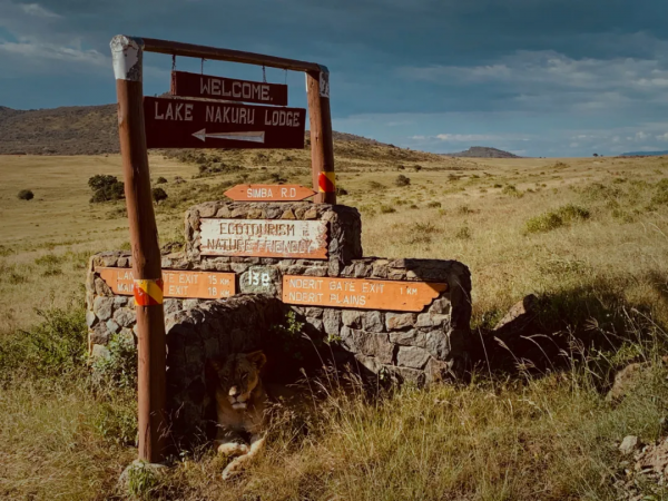 這些奢侈回憶，被我翻了千百遍