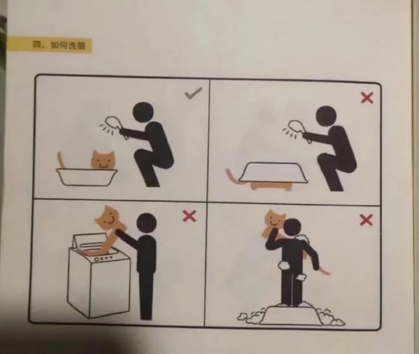 原來這才是養貓的正確方式！我一直都搞錯了