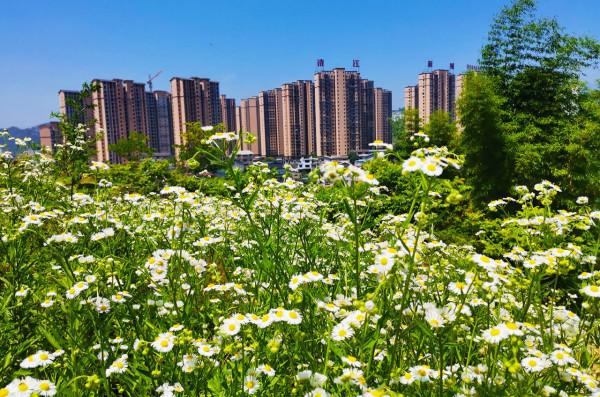 從十四五規劃看未來房地產走勢