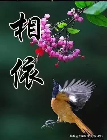 《幸福的回憶》