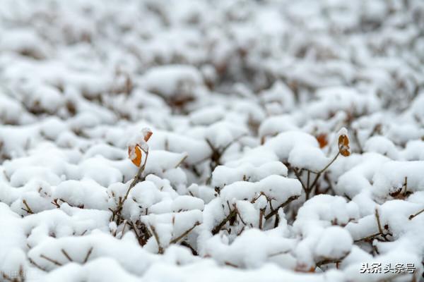 天氣預報：今年冬季天氣冷嗎？就看八月十三，看看老祖宗怎麼說