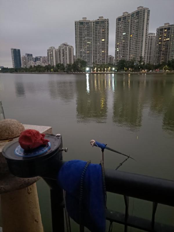 早起的鳥兒有蟲吃，晨釣提竿遛大魚&hellip;&hellip;