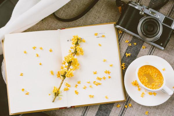 征服一個人的好辦法:延遲 征服一個人的好辦法:延遲