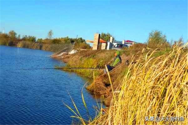 冬釣“坑”太多，3種天氣別出門，3種釣點別下竿，爆護離你不遠