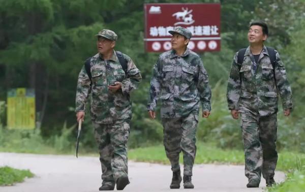 東北虎大起底|50年光陰,終得“王者歸來”!解密東北虎守護人 東北虎大起底|50年光陰,終得“王者歸來”!解密東北虎守護人