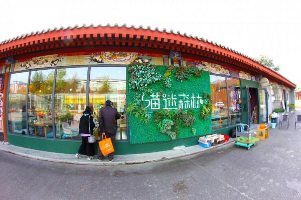 北京新晉網紅藝術區，門票停車都免費，緊挨墓地卻人氣火爆