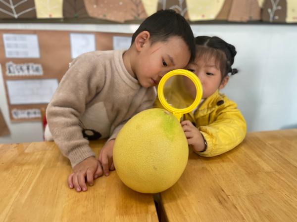 南馬中心幼兒園防軍園區：柚子探一探