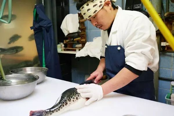 深海中的危險：幾種恐怖的海洋生物