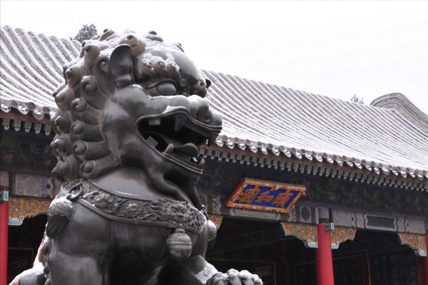 嫁給&quot;唐僧&quot;的陳麗華，靠紫檀賺500億身家，北京一環擁有半條街